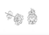 Icy Gworl Studs